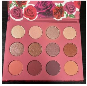 2 for $16  SHE ColourPop palette